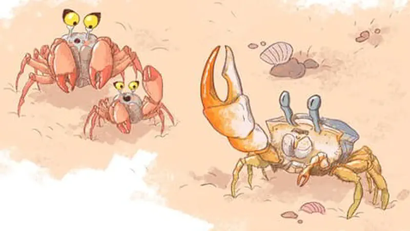 Family of crabs on beach - large adult crab holding baby crab, with a yellow fiddler crab raising its large claw nearby.