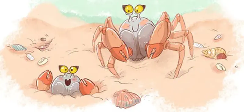 Adult crab watching over excited baby crab emerging from hole in the sand, surrounded by seashells near the shoreline.