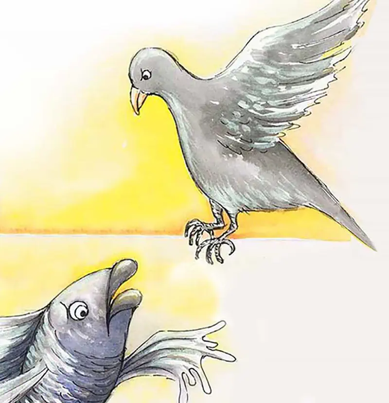 A gray bird flying with wings spread while a surprised gray fish with hand-like fins looks up from below.