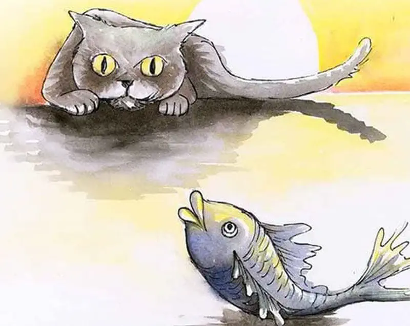A gray cat crouching and staring intensely at a gray fish walking on its fins at sunset.