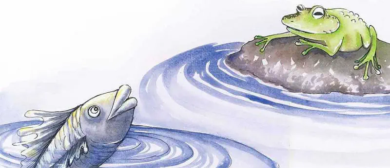 A gray fish in rippling water looking at a green frog sitting contentedly on a rock.