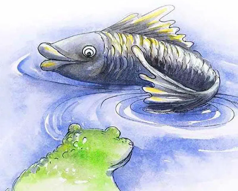 A gray fish with yellow fins diving into water creating ripples while a green frog watches from below.