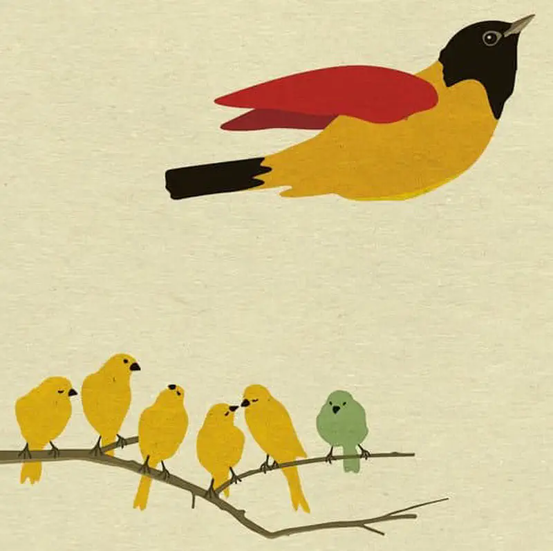 A colorful bird with black head, yellow body, and red wings flies above five small yellow birds and one green bird perched on a branch.