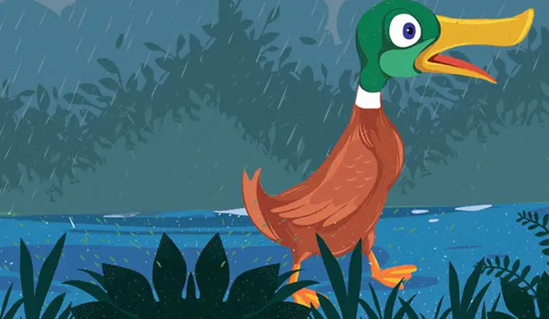 A mallard duck with a green head and yellow beak standing by the water in the rain, with dark foliage in the background.