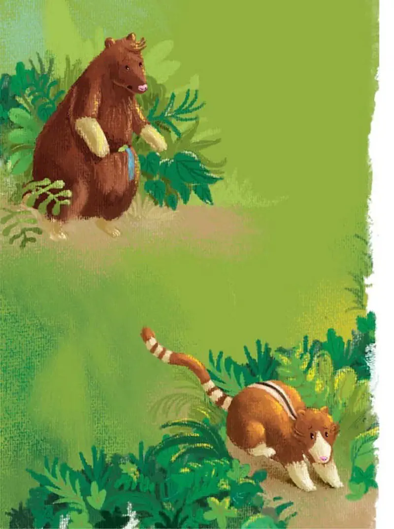 Tree kangaroo mother watches from above while a young ringtail possum explores the green forest foliage below.