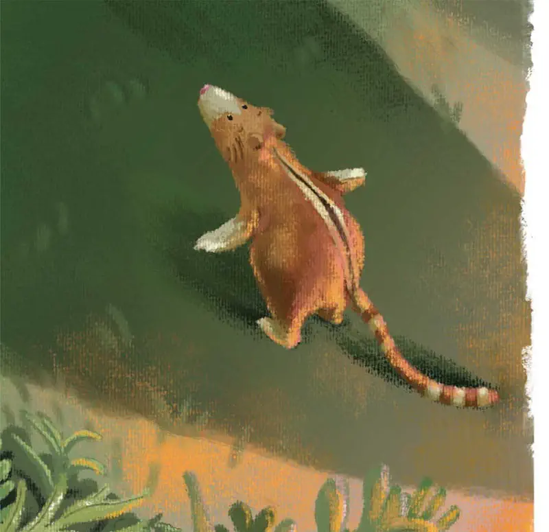 Young sugar glider with outstretched gliding membranes leaps through the air in a green and orange forest setting.