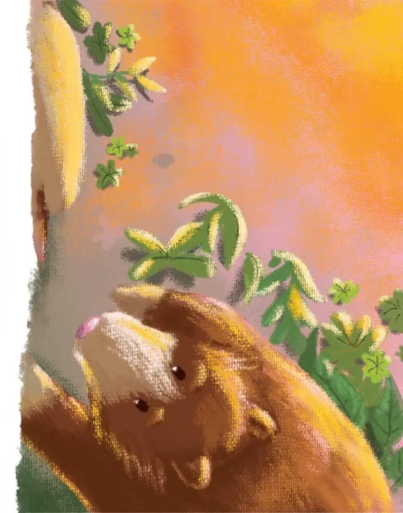 Tree kangaroo mother and joey cuddle together against a warm orange and pink sunset sky with green leaves framing the scene.