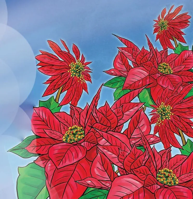 Vibrant red poinsettia flowers with yellow centers and green leaves bloom against a soft blue sky with white bubbles.