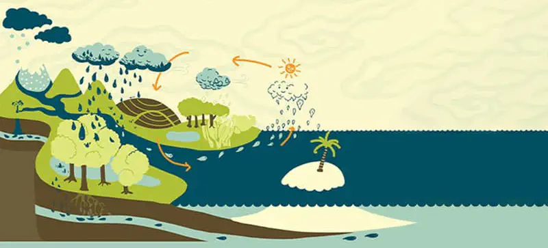 The complete water cycle illustrated with rain falling on mountains, flowing through forests and rivers to the sea near a small island.