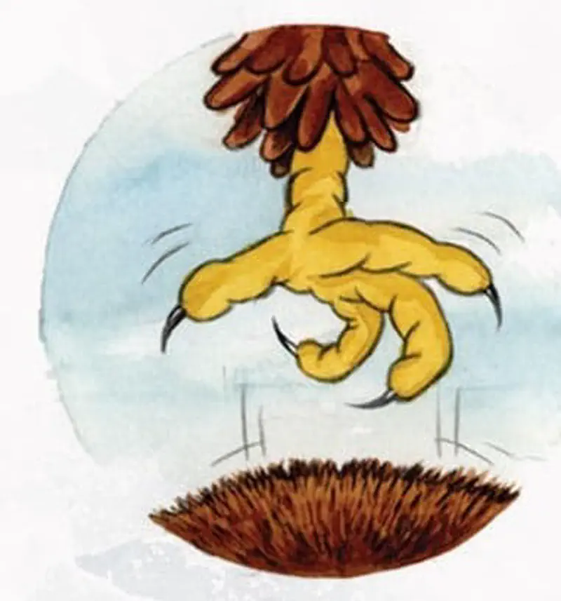 A bird's yellow clawed foot descends toward a brown furry creature below, shown in a circular frame.