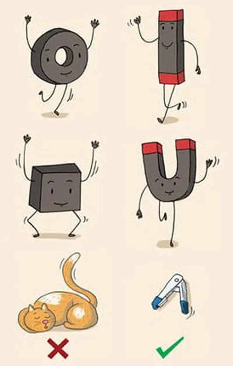 Cartoon magnets in different shapes dance with faces and arms. Below shows a cat with an X mark and a stapler with a checkmark.