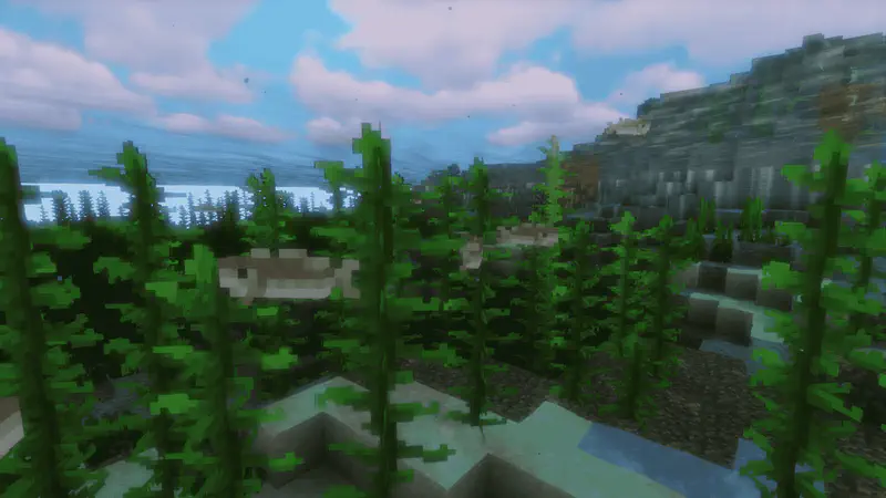 Minecraft kelp forest growing tall from ocean floor with dolphins swimming in background.