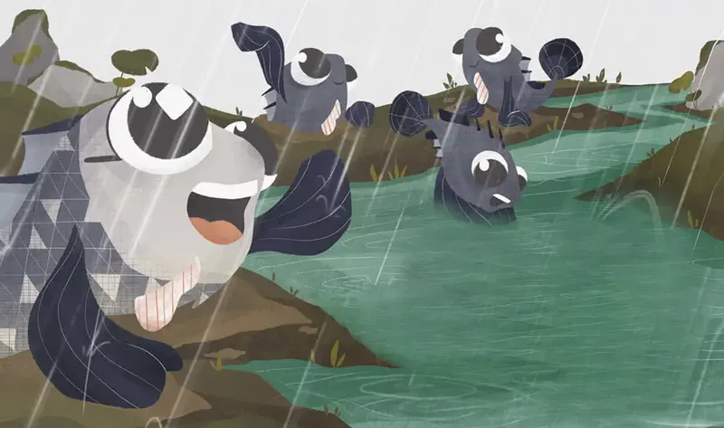 Joyful mudskipper fish splashing in rain with others swimming in green pond near hills.