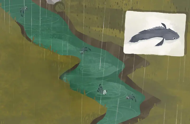 Happy mudskipper fish jumping from green water with smaller fish swimming below near plants.