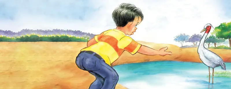 Boy in yellow shirt reaching toward gray crane with red head standing in pond.