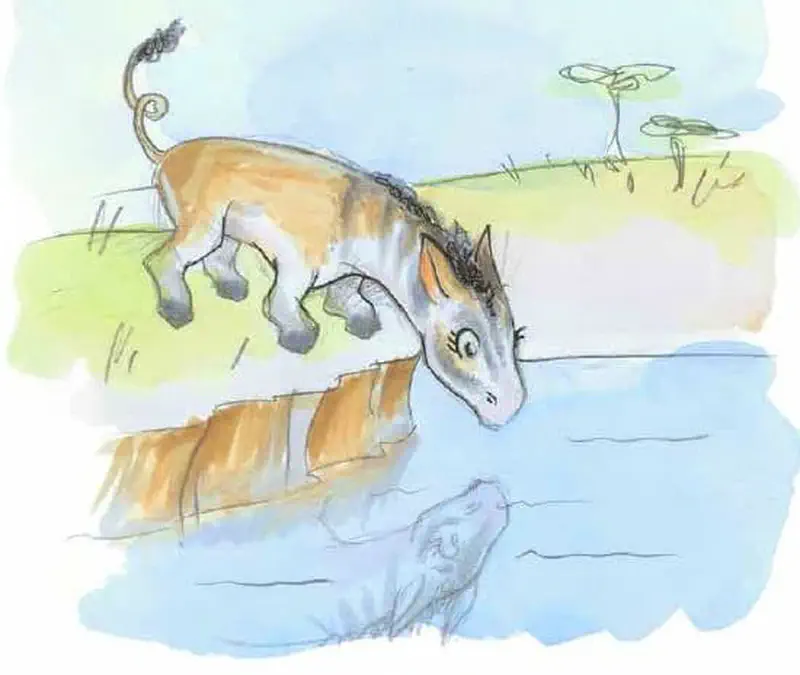Striped horse creature looking at its reflection in water with hippo watching from below.