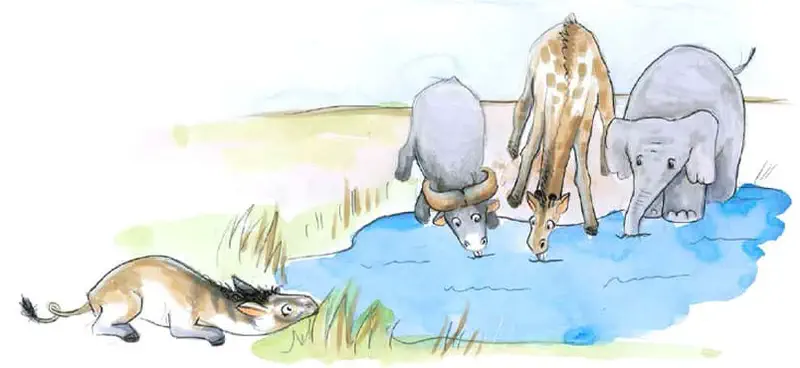 Striped horse approaching watering hole where buffalo, giraffe, and elephant are drinking.