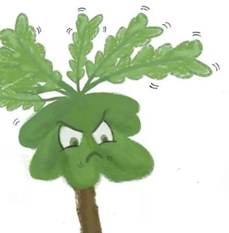 Angry fern plant with furrowed brow and frowning face, leaves shaking with frustration.
