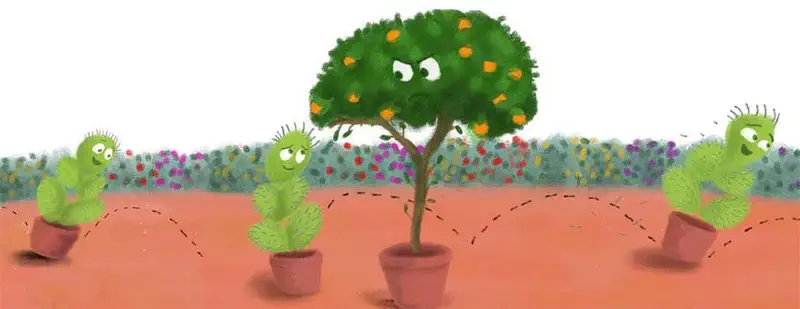 Grumpy orange tree watches as cacti hop in their pots along dotted paths through a colorful flower garden.