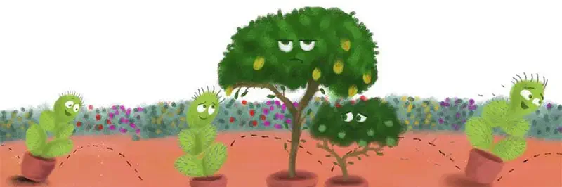 Sleepy lemon tree and sad small bush watch as cacti hop away in pots along dotted paths through the garden.