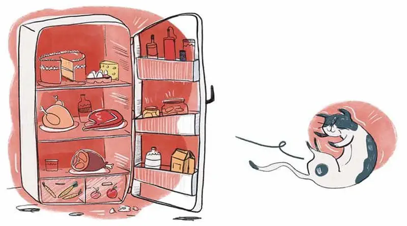 Excited cat licks its lips looking at an open refrigerator full of delicious food including turkey, cake, and cheese.