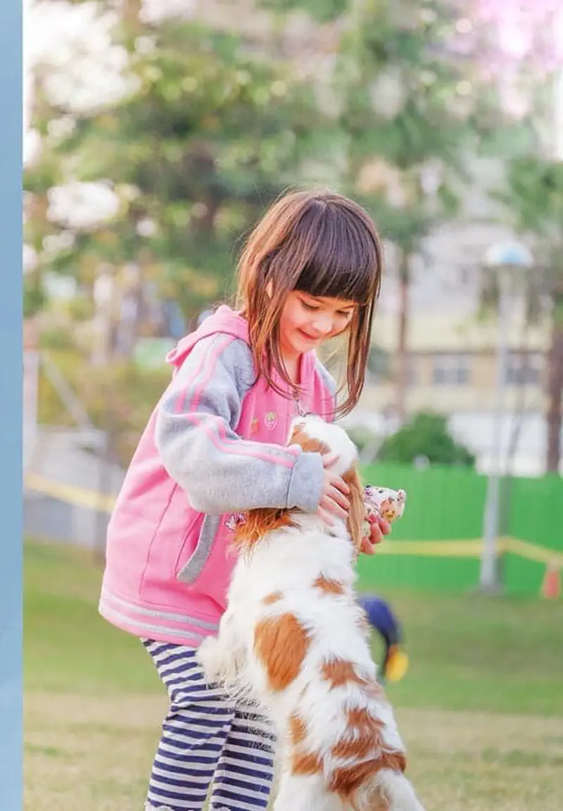 A young girl in a pink jacket smiles while a brown and white spaniel puppy jumps up to greet her in a park.