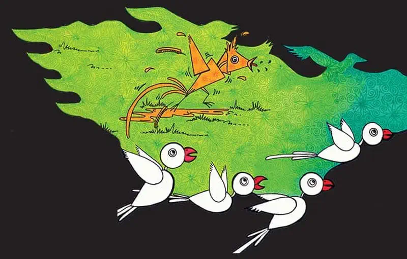 An orange bird flies above white birds with red beaks against a green patterned background with black edges.