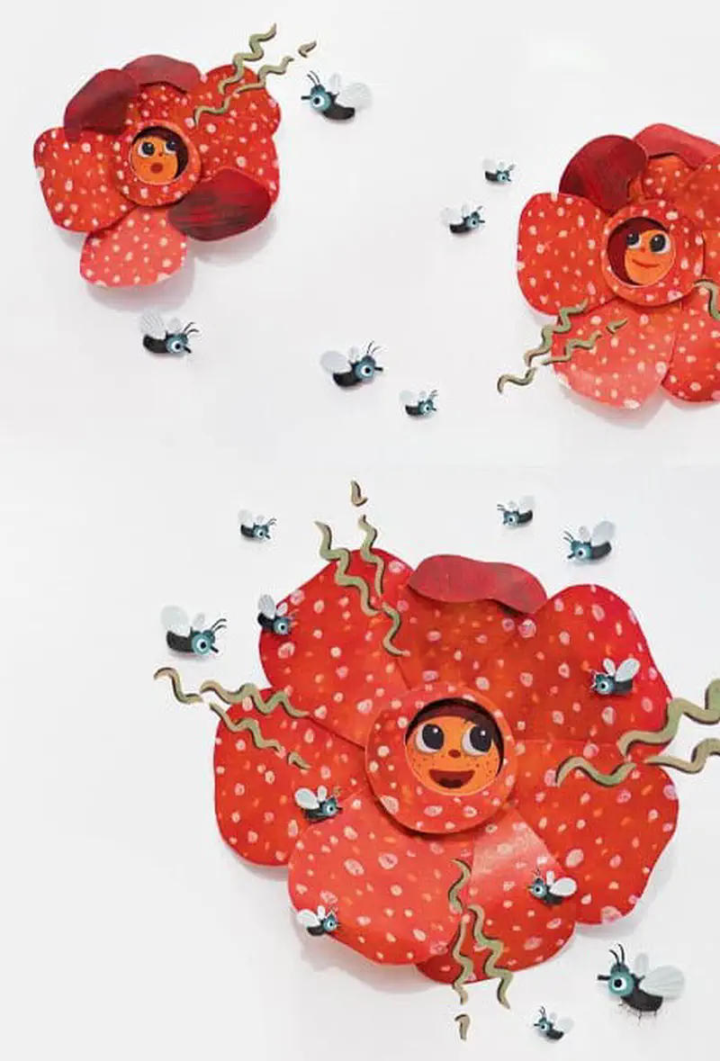 Three rafflesia flowers of different sizes with happy faces surrounded by flies, showing the flower at various stages of blooming.