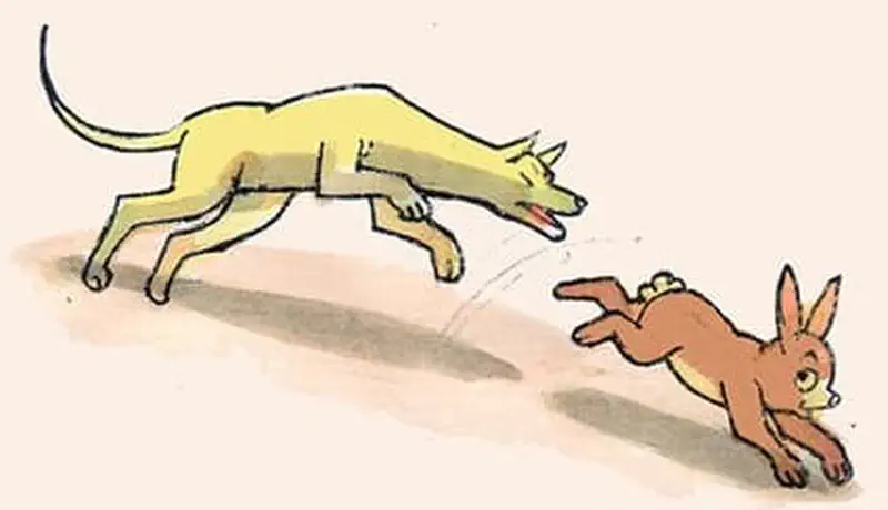 A yellow dog chases a frightened brown rabbit who runs away quickly with ears flying back.