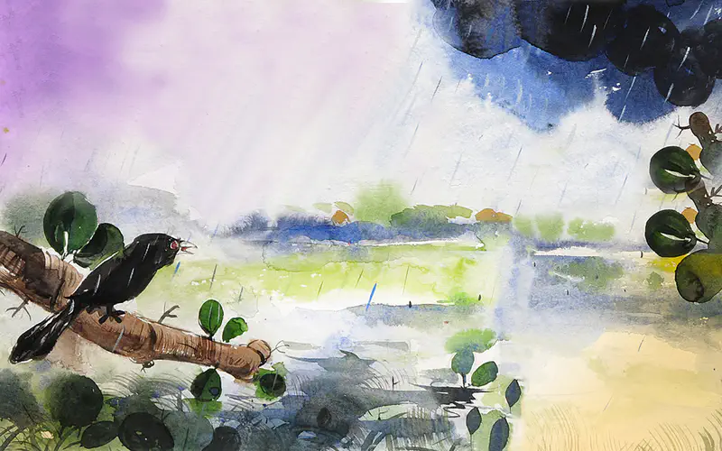 A black cuckoo sits alone on a branch in a rainy scene with purple and blue stormy clouds and wet leaves.