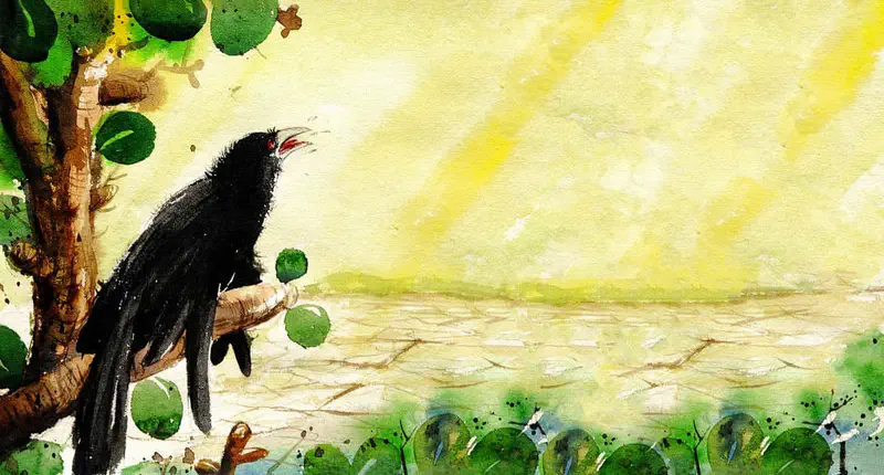 A black cuckoo bird with a red eye perches on a tree branch, beak open trying to sing, against a sunny yellow sky and dry landscape.