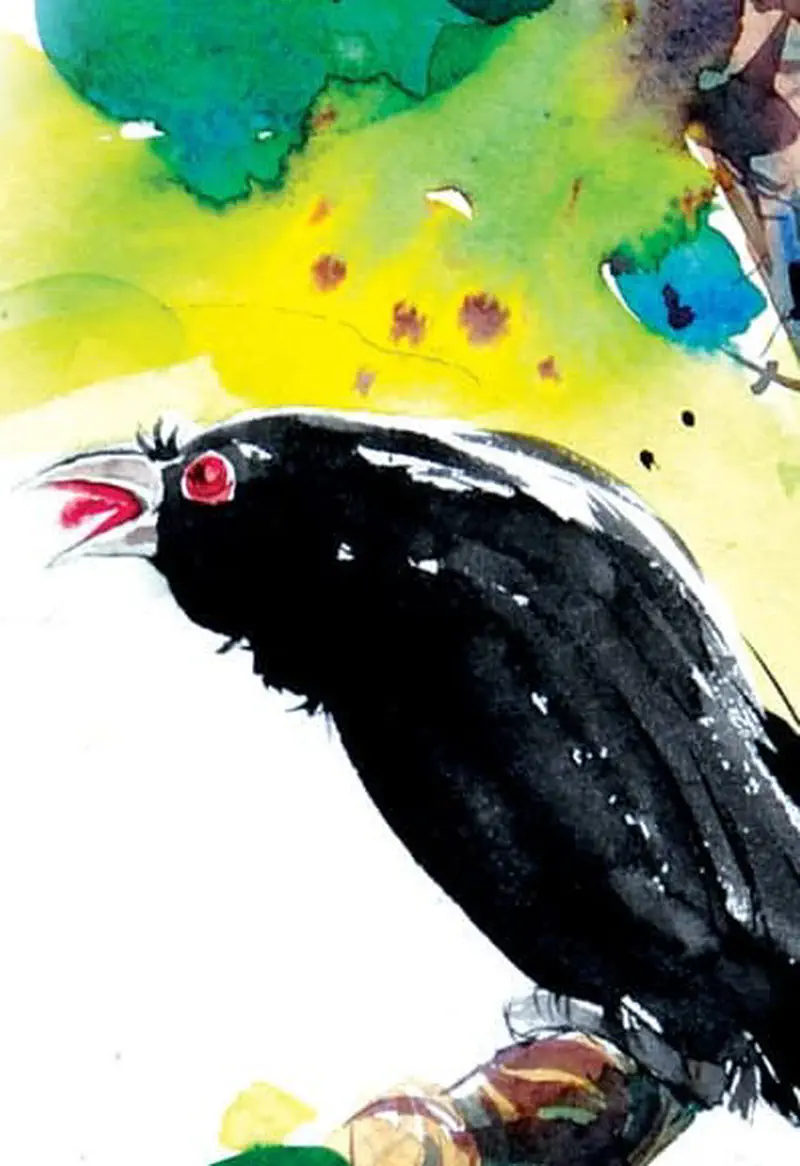 A black cuckoo with a red eye and pink beak perches on a branch looking sad with colorful green and yellow foliage behind it.