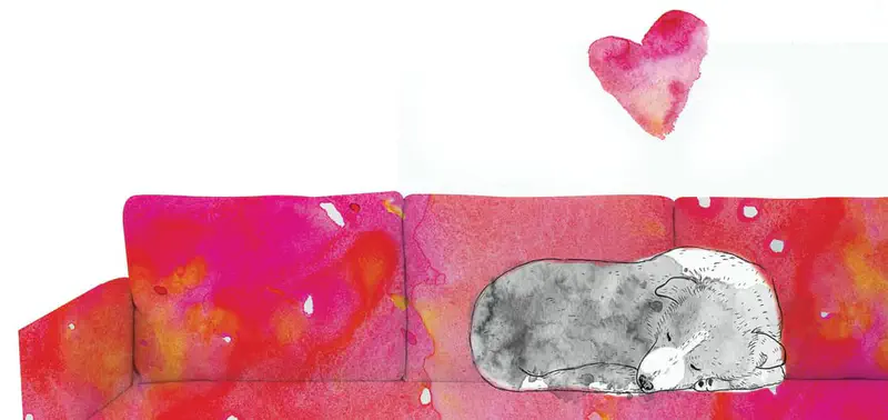 A gray and white dog sleeps peacefully curled up on a pink and orange couch with a pink heart floating above.