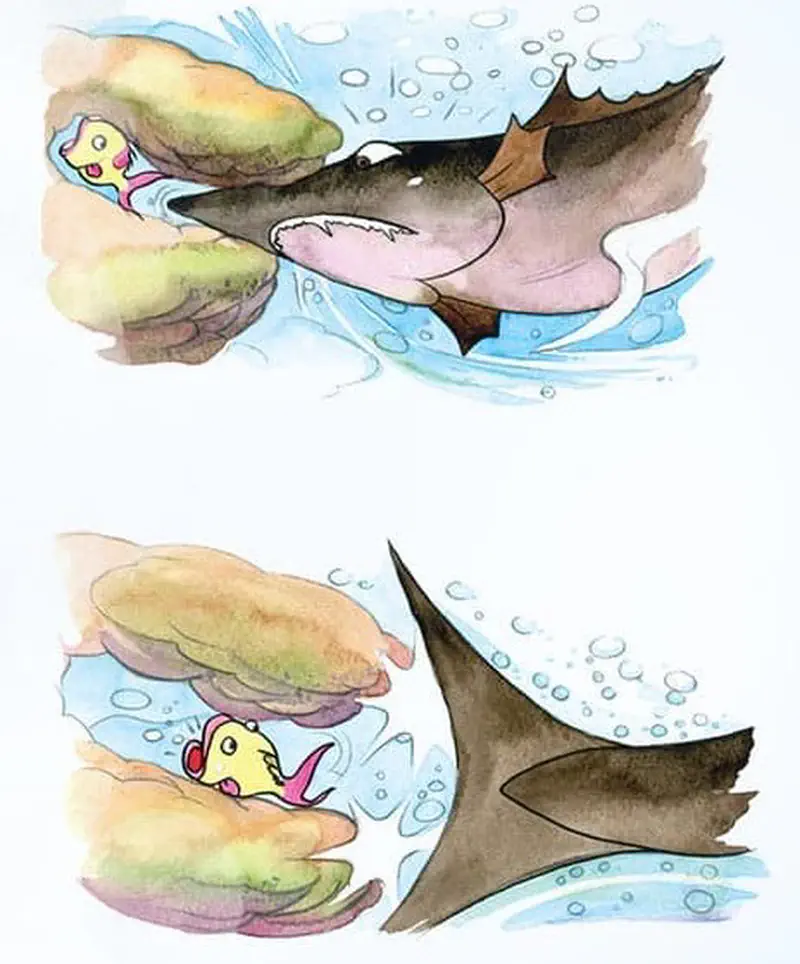 Two panels showing the little yellow fish hiding in rocky coral while a shark searches nearby, then safely watching the shark swim away.