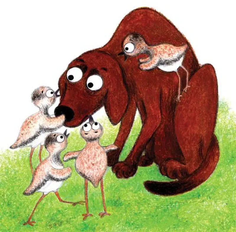 A large brown dog sits surrounded by four fluffy baby chicks, with one chick perched on the dog's back.