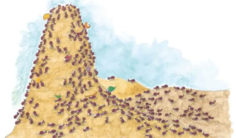 Hundreds of ants swarm over a sandy anthill, carrying colorful food bits up to the top of their mound.