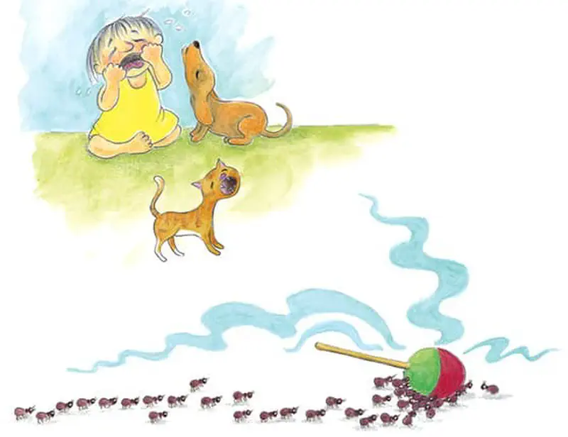 A crying girl sits on grass with her dog while ants march toward a dropped lollipop, following a scent trail.