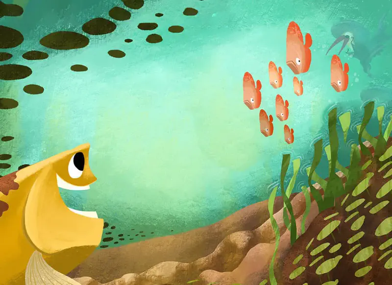 Yellow carp watching orange fish school while kingfisher dives underwater