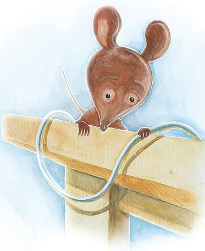 A curious brown mouse peers over the edge of a wooden desk with a cable wrapped around the desk leg.