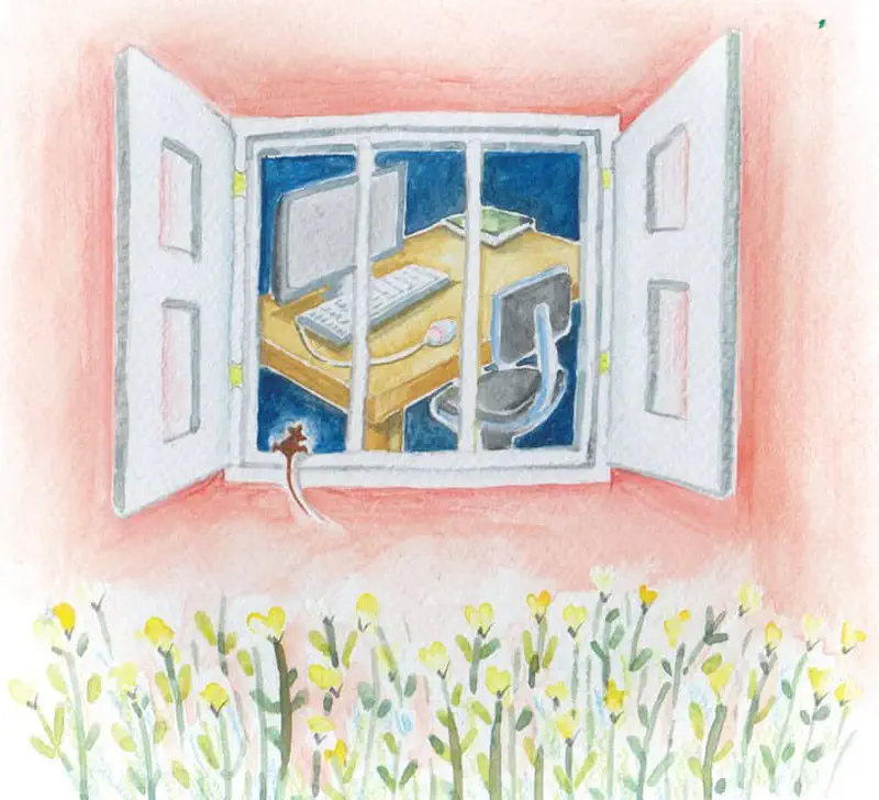 A brown mouse sits on an open window ledge looking into a room with a computer desk, surrounded by yellow flowers outside.
