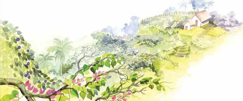 A panoramic view of flowering vines with pink bougainvillea, palm trees, and a hillside farmhouse with terraced fields.