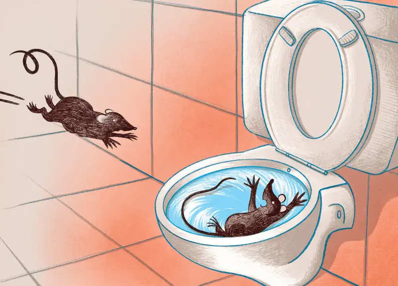 A rat leaps through the air in a bathroom as another rat swirls inside a toilet bowl with blue water.