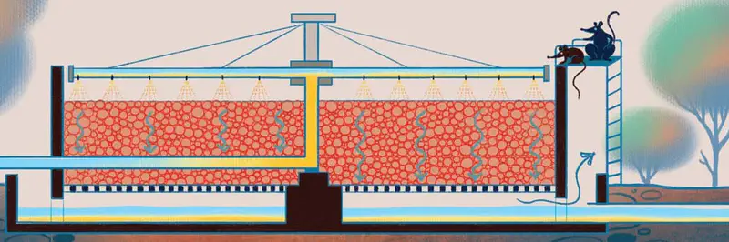 Cross-section of a water treatment tank with bacteria filtering red material while two rats observe from a platform with a ladder.