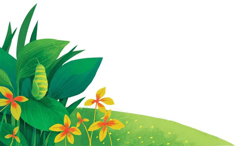 A green and yellow striped chrysalis hangs from a leaf among green foliage and yellow flowers on a grassy hillside.