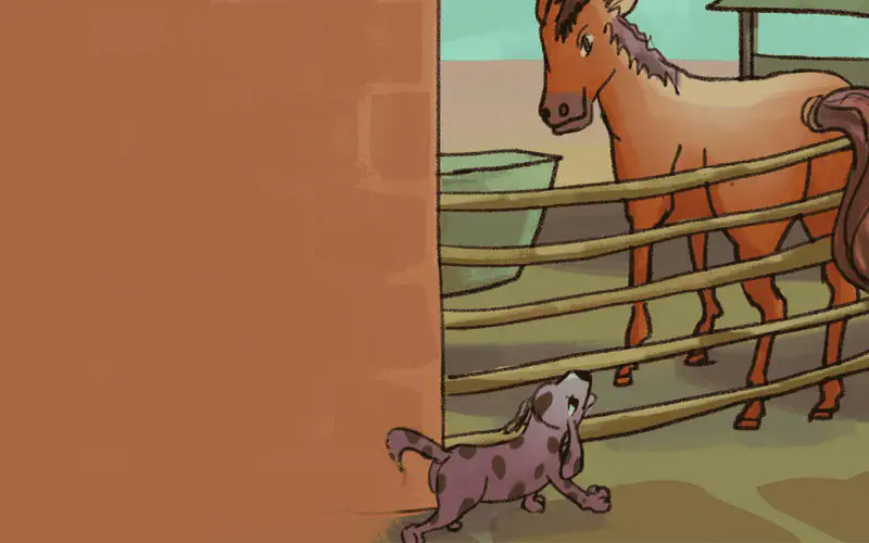 A spotted dog crouches playfully near a wooden fence while a brown horse with a dark mane looks down at it from its pen.