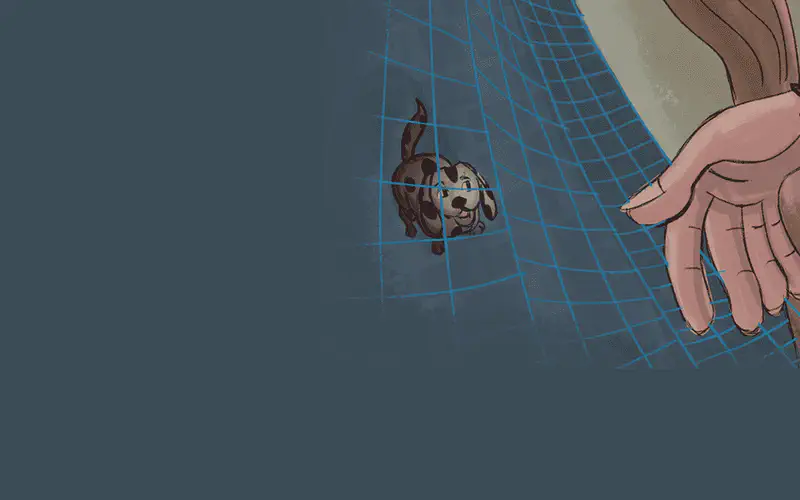 A spotted dog runs happily inside a blue net enclosure. A pair of hands reaches toward the net from outside.