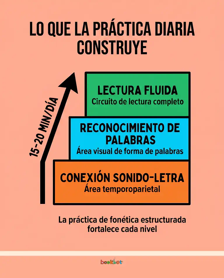 Lo que la práctica diaria de lectura construye en el cerebro