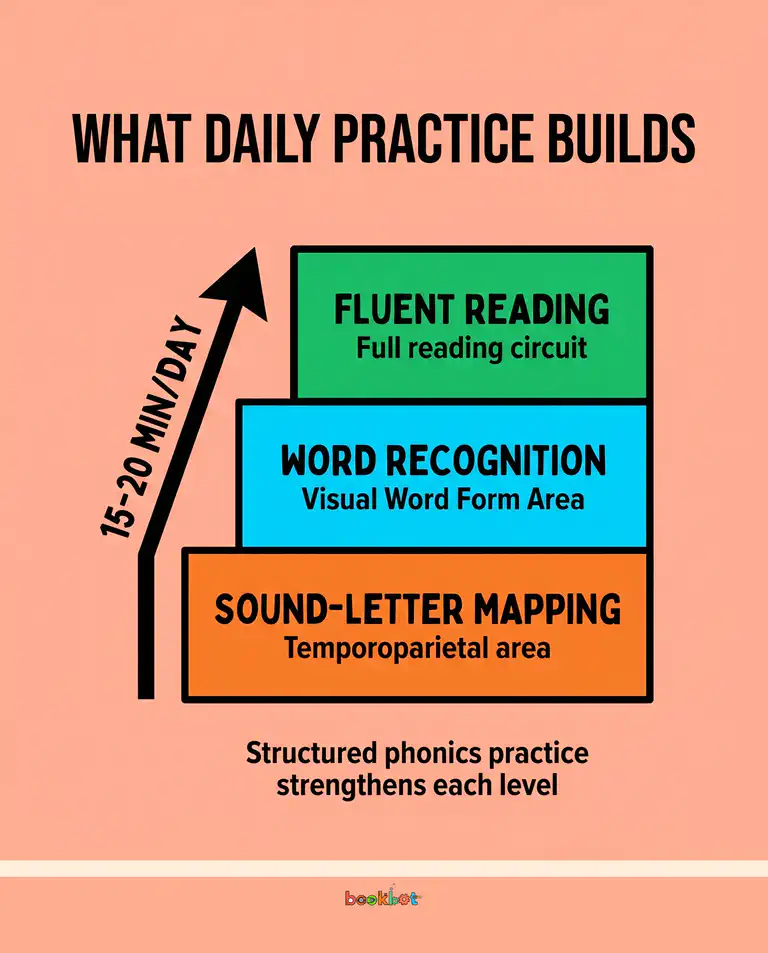 What daily reading practise builds in the brain