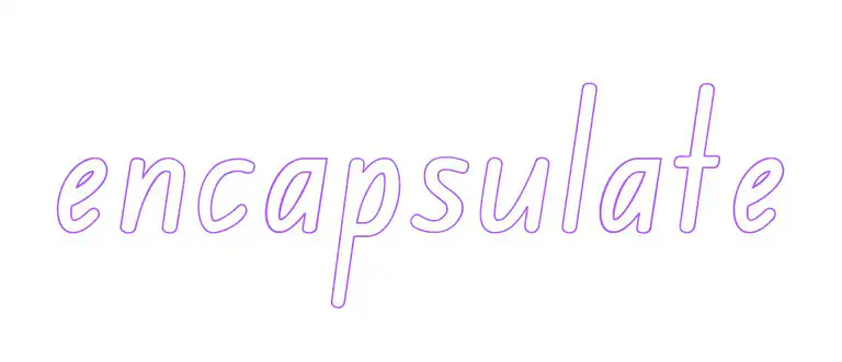 the word &rsquo;encapsulate&rsquo; in large, outline font